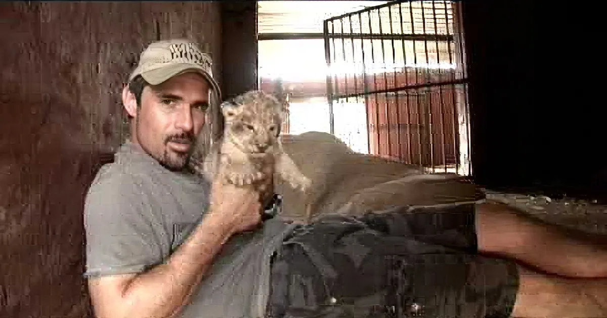 A man holds a baby lion cub in a dimly lit room with a cage in the background.
