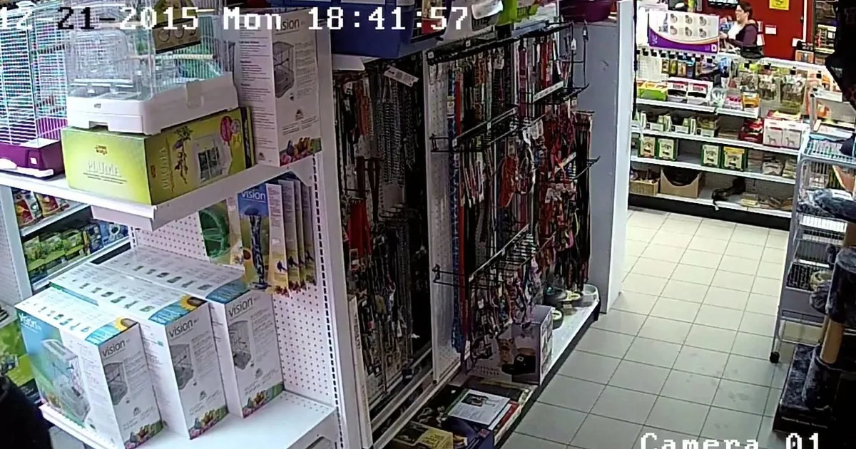 A pet store aisle with various products, including boxes and hanging items, is visible.