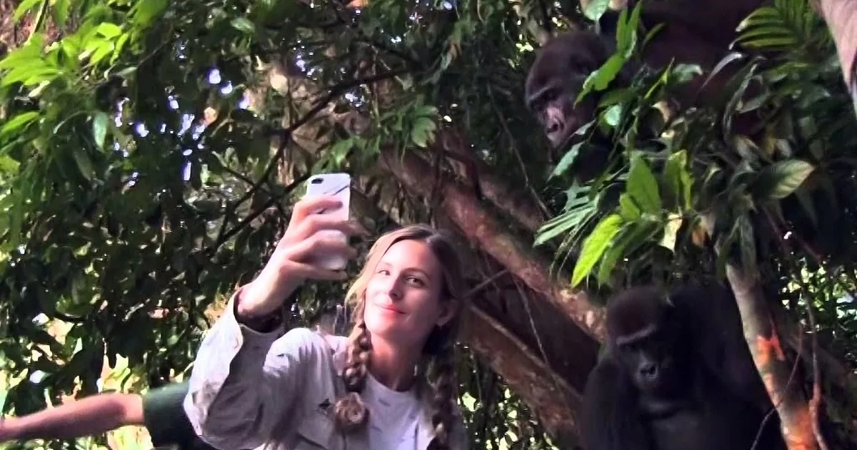 A person takes a selfie with a gorilla in the background amidst lush greenery.