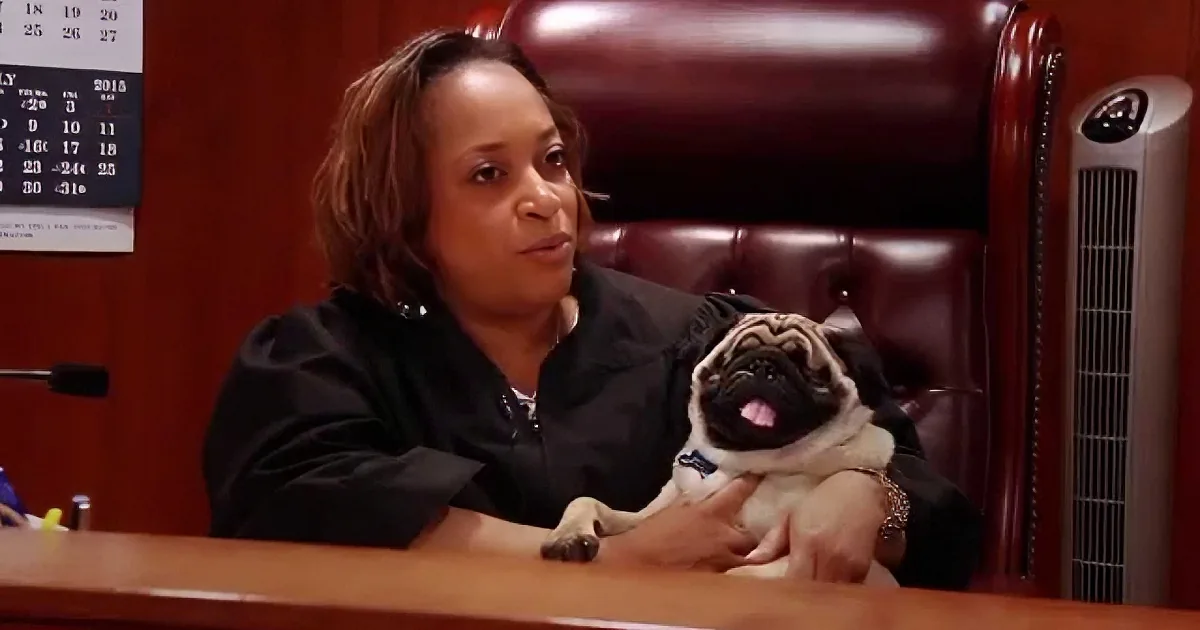 A woman in a courtroom holds a small dog on her lap, with a calendar and fan in the background.