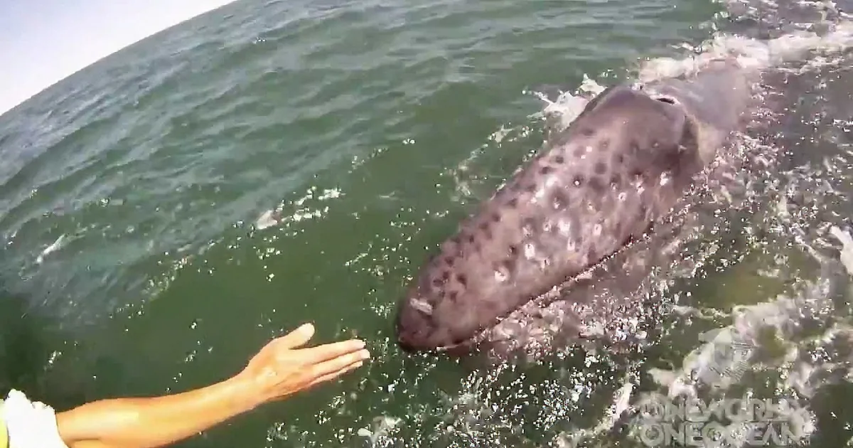 When He Stretched His Hand Into the Water, Even He Couldn''t Believe What Surfaced