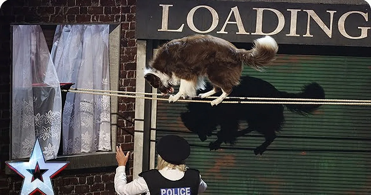 A dog leaps over a rope held by a person in a police uniform, with a loading sign and curtains in the background.