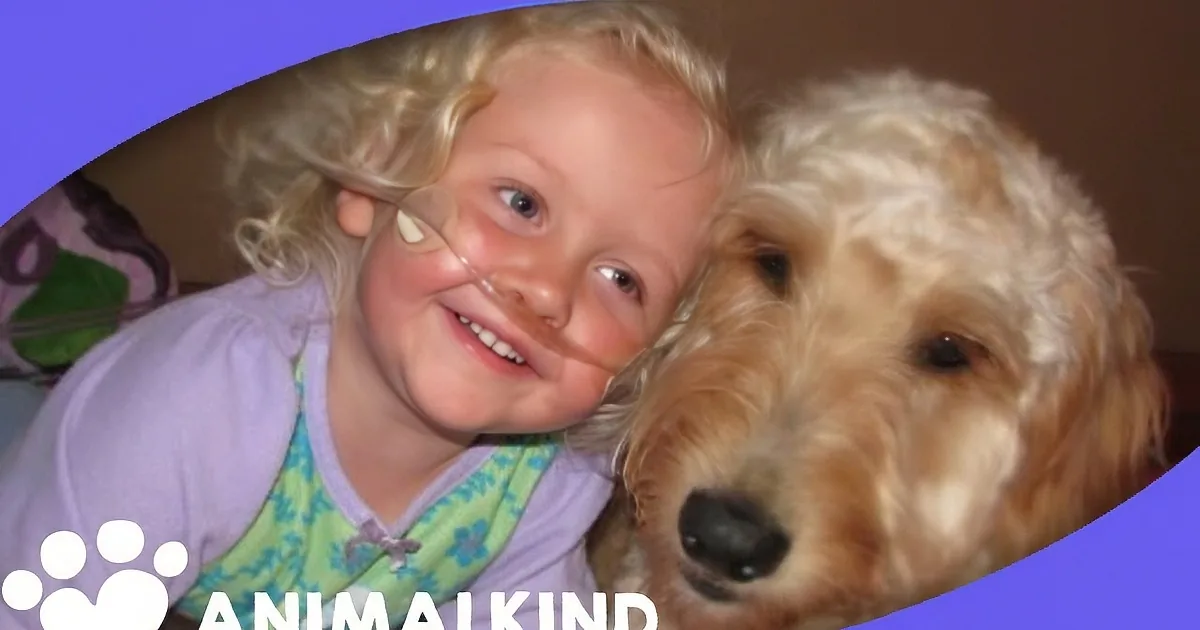 This Girl''s Disease Stopped Her From Going to the Park. Who Was Finally Able to Help Her? Incredible!