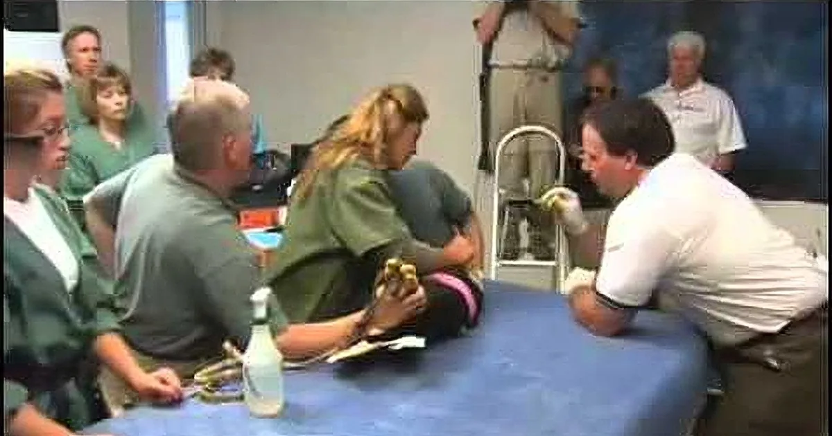 A person in scrubs is being examined by medical professionals in a clinical setting.