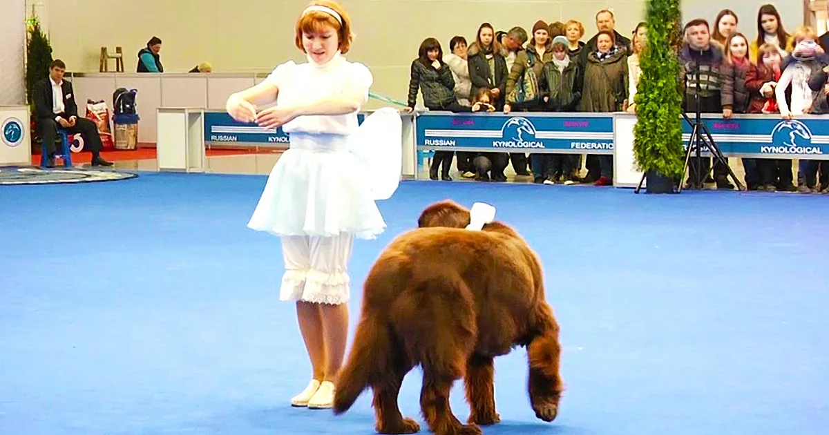 She Started to Dance. but When You See What Her Dog Does Next, You''ll Be Mesmerized