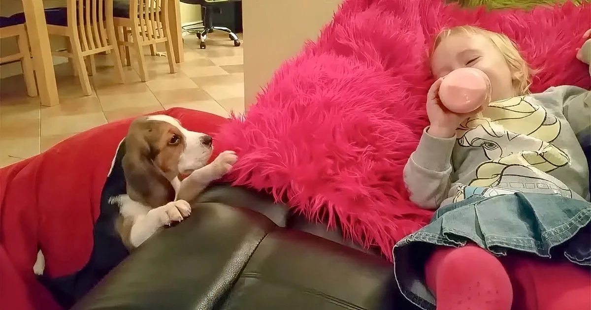 A girl in a pink outfit drinks from a cup while a puppy in a red outfit lies beside her.