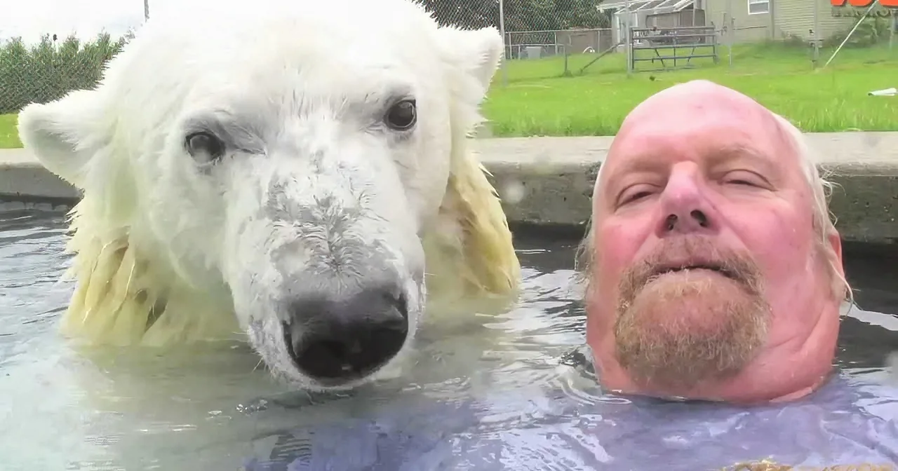 Brave Man Dares to Venture Near This Polar Bear