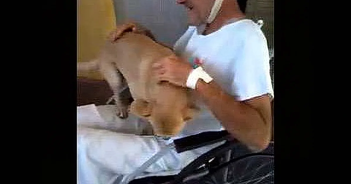 This Man Was Taken to the Hospital. When You See What His Dog Did, You''ll Tear Up!