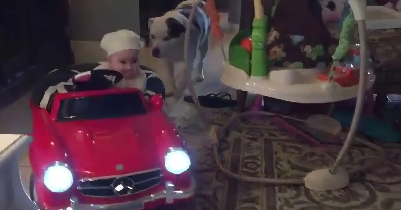 Mom Left Her Baby Alone With the Pit Bull...and Found Them Doing This!