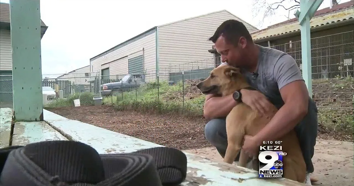 A Veteran''s Dog Got Lost During His Deployment. What He Did to Find Him? Unreal!