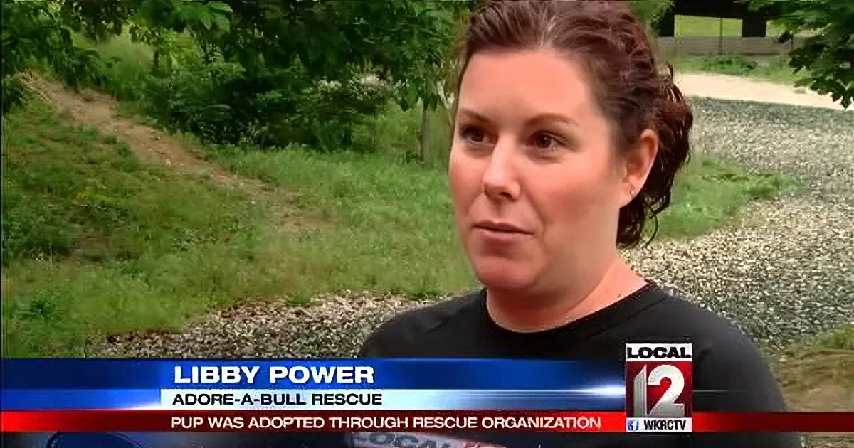 This Adopted Pit Bull Saved a Boy''s Life! I Didn''t Think It Was Possible!