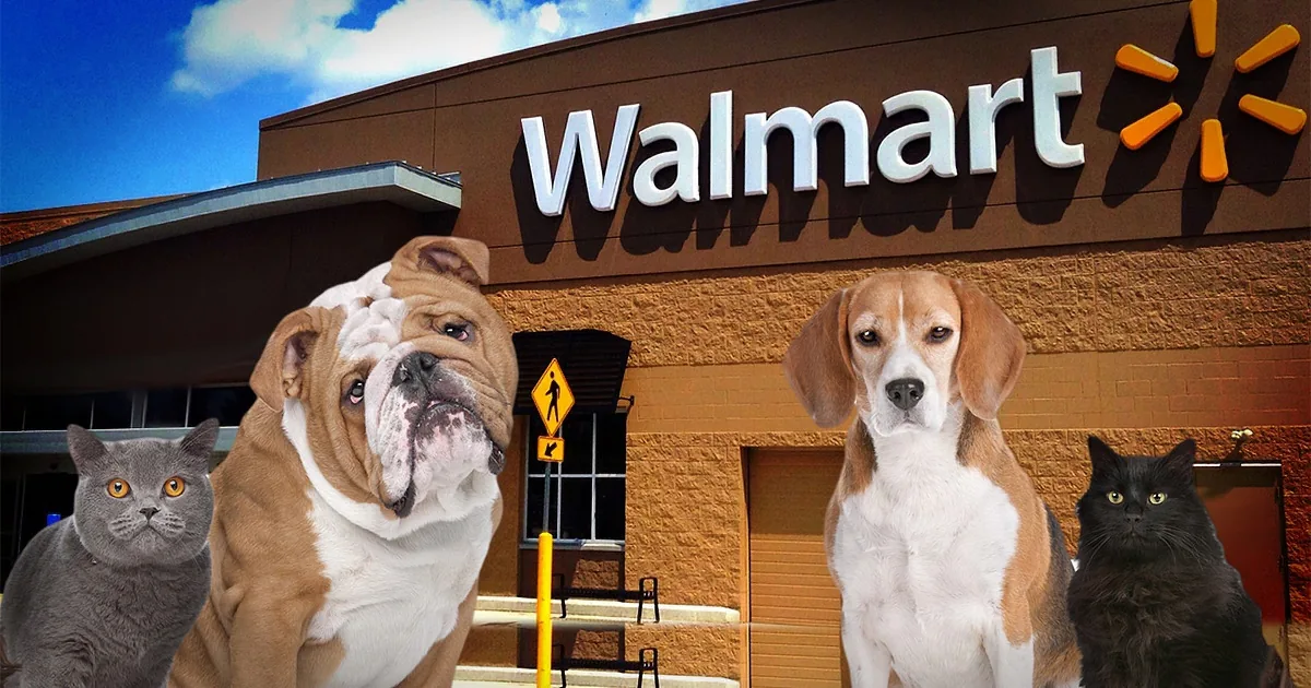 A Walmart store facade with a bulldog, beagle, cat, and another cat in the foreground.