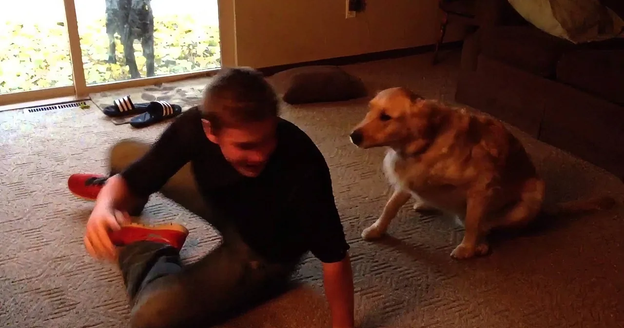 The Man Is Sitting on the Floor Playing With His Dog. but When the Dog Does This? Hilarious!