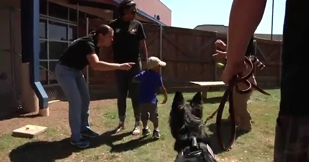 A dog wearing a harness interacts with people in a grassy area near a building.