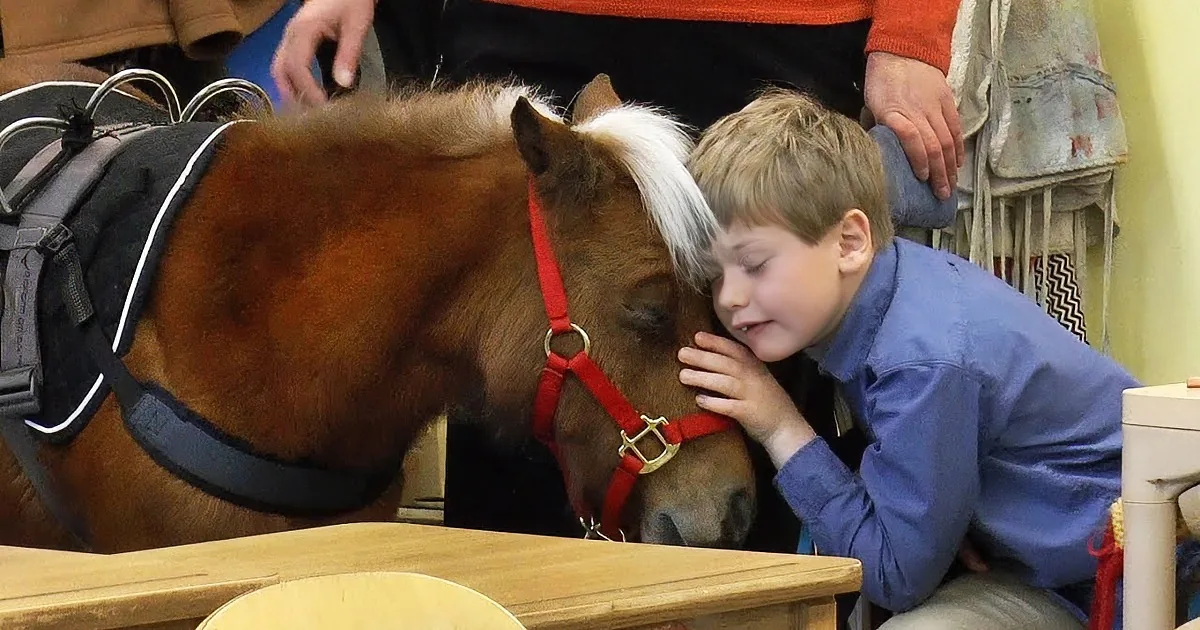 Mini Service Horse Helps a Boy With Rare Genetic Disorder