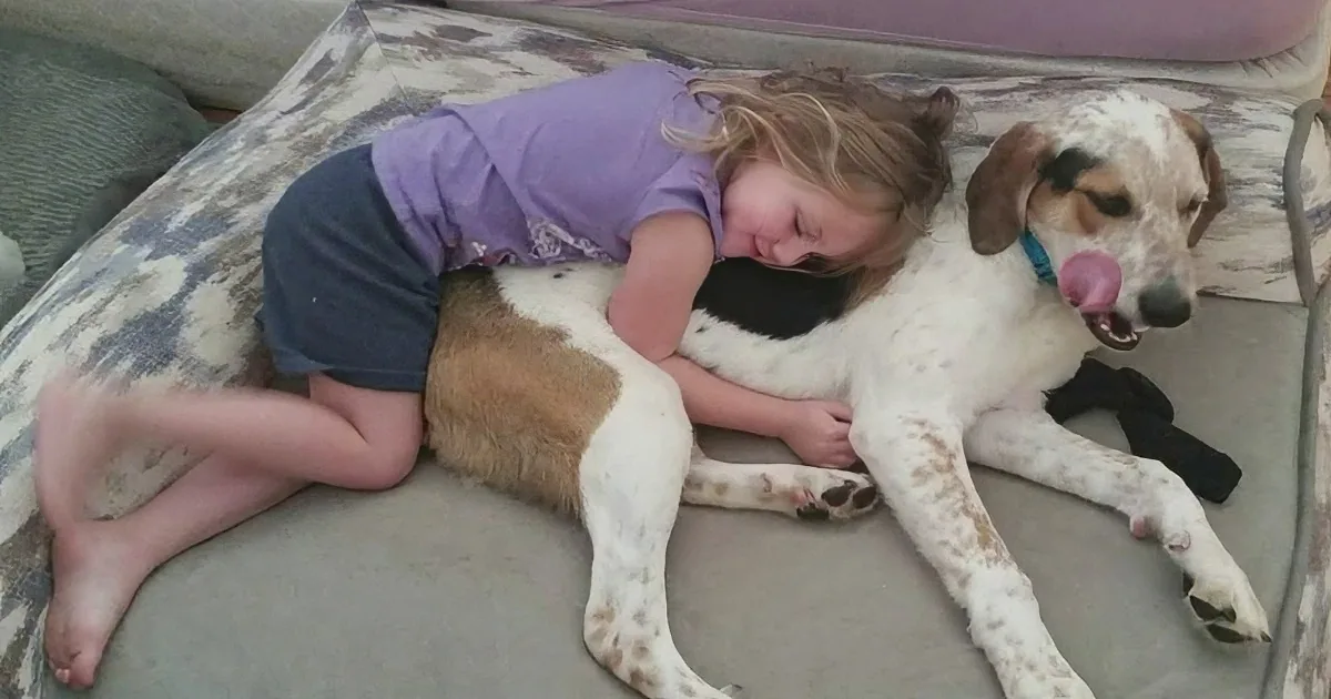 Little Girl Was Born Without Hearing, and They Found the Perfect Dog Friend for Her! Adorable!