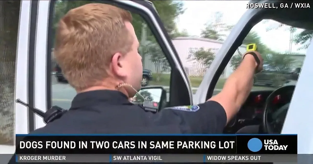 A police officer drives a vehicle, wearing a uniform, with a camera mounted on their shoulder.