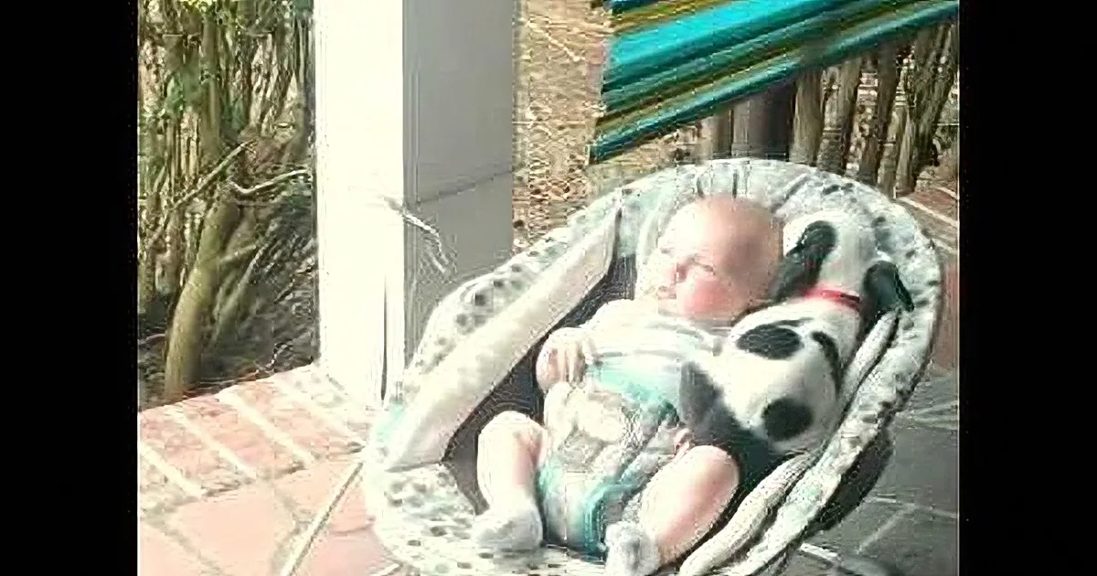 A baby is lying in a bouncy chair on a patio, surrounded by a patterned blanket and a brick floor.