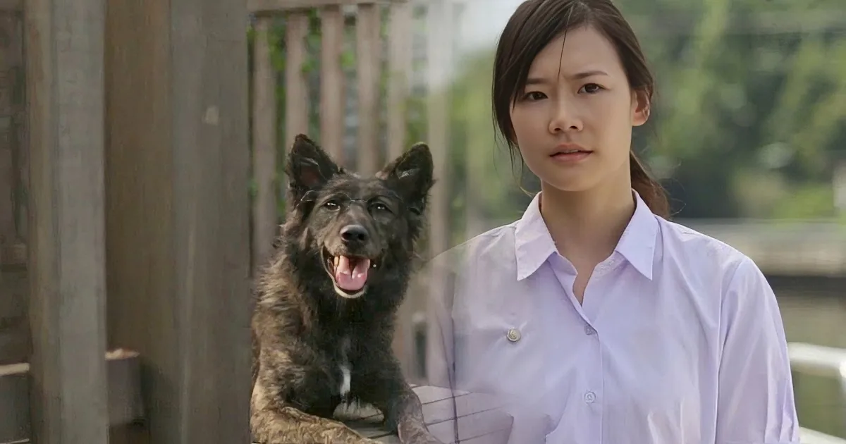 A person in a white shirt stands next to a dog wearing a white shirt, both in a wooden area.