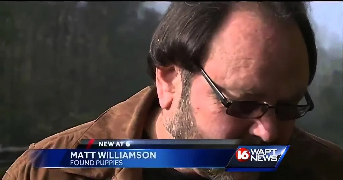 A man with glasses and a beard, wearing a brown jacket, is shown in a news segment about finding puppies.