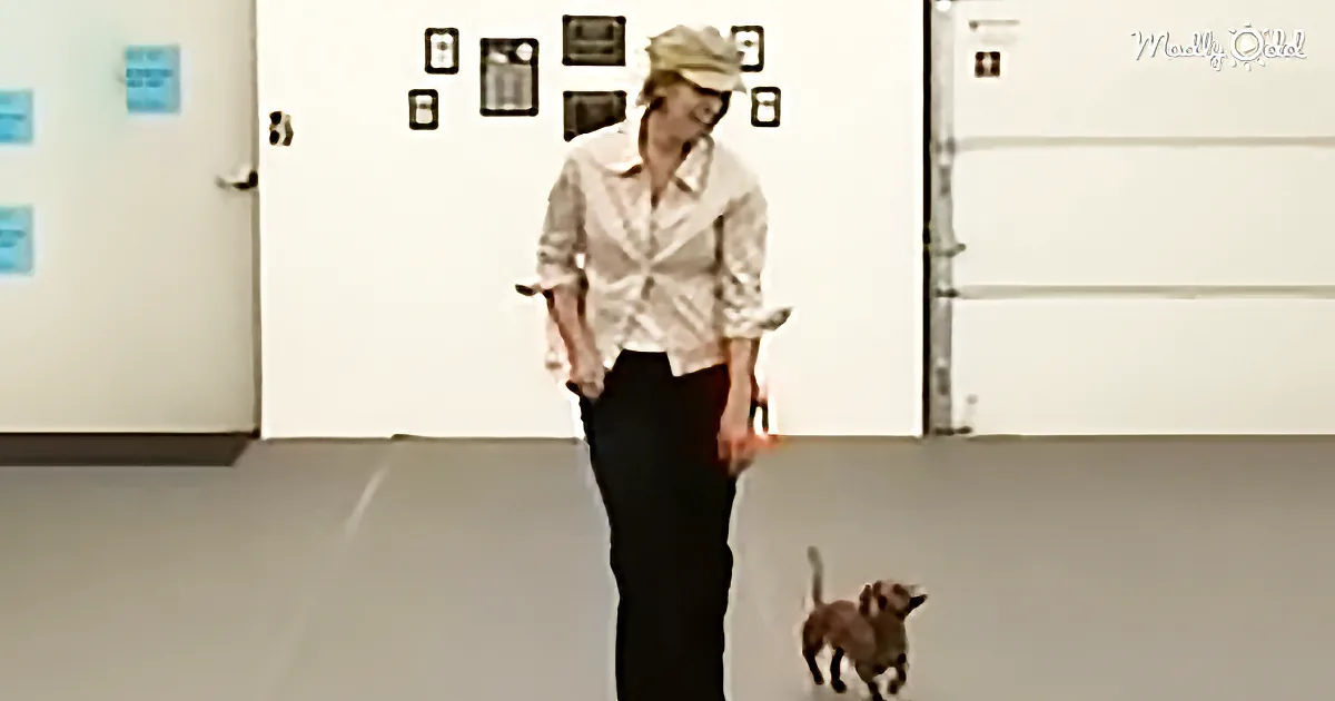 A woman in a white shirt and hat stands in a room, holding a leash, with a small dog standing in front of her.