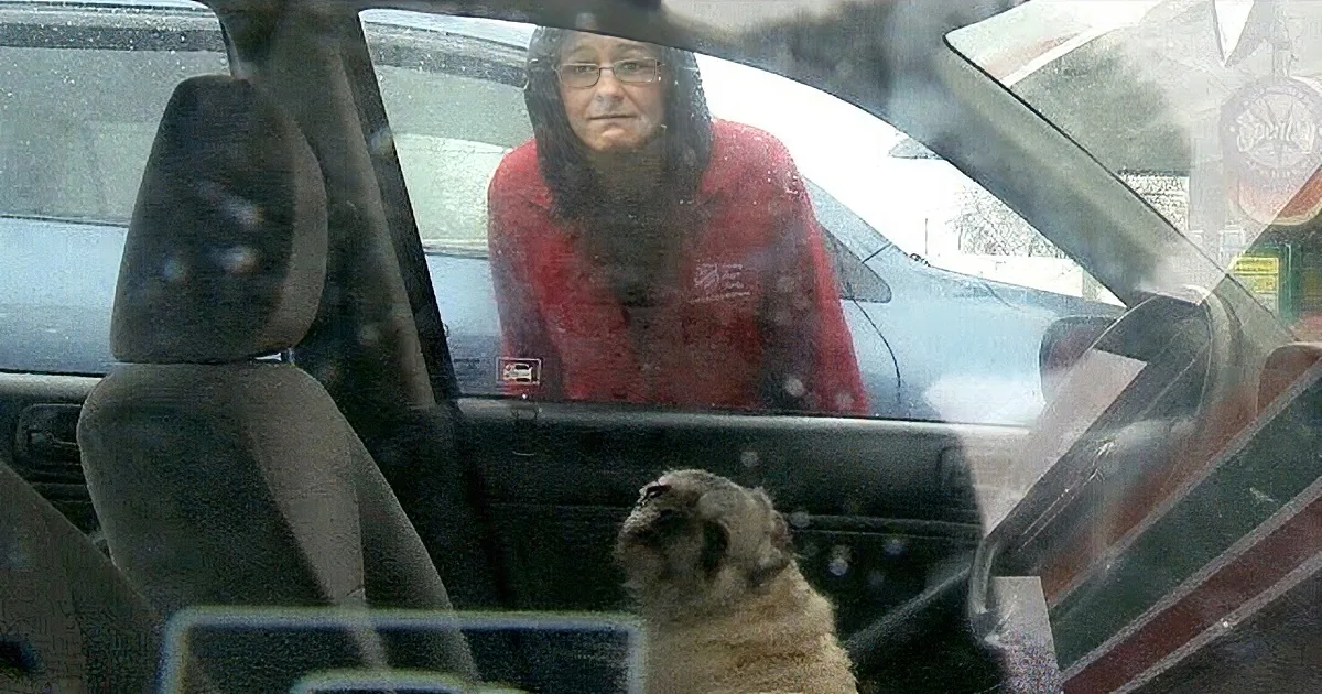 When Her Dog Was Stuck Inside Her Car, This Convenience Store Hero Saved the Day!