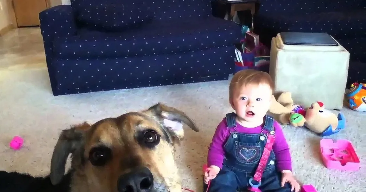 A baby in overalls sits on the floor surrounded by toys, with a dog in the foreground looking directly at the camera.