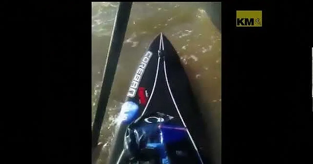 Amazing Recue of a Tiny Shih Tzu Abandoned at Sea! Wow!