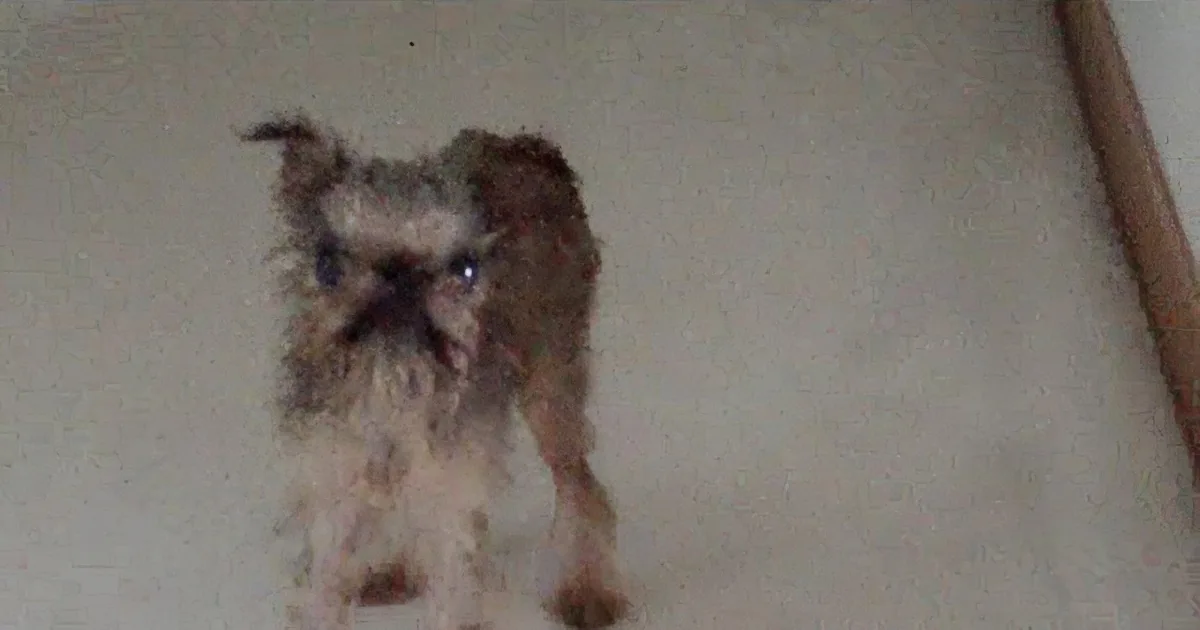 This Little Dog Finds Bathtime Offensive! His Reaction Will Make You Smile!