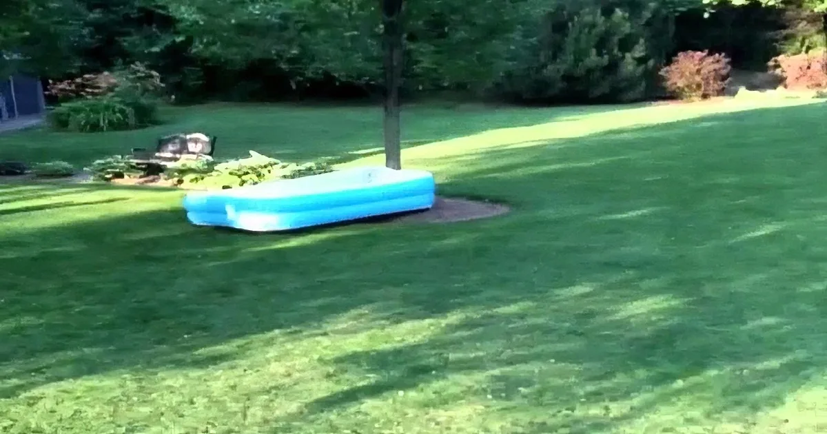 A blue inflatable pool sits on a grassy lawn with trees in the background.