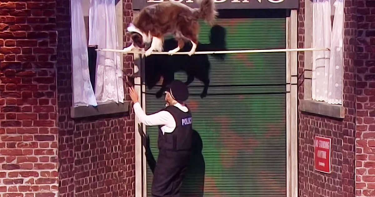 Woman and Her Dog Gave a Top-Notch Performance at the Talent Show