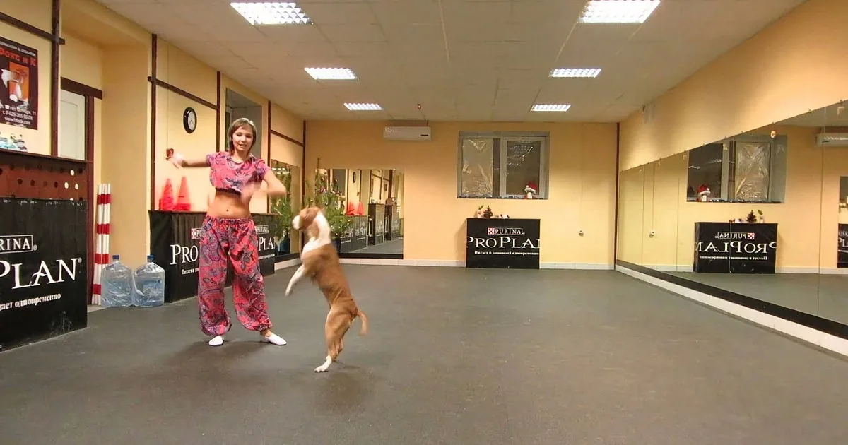 A woman in a colorful outfit dances with a dog in a dance studio.
