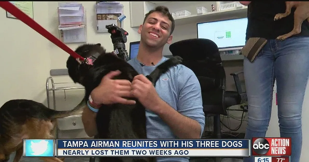 After Saving Them From a House Fire, Air Force Pilot Reunites With His 3 Dogs!