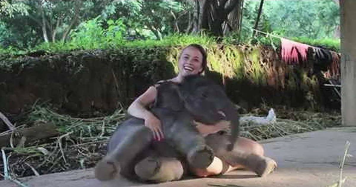 This Baby Elephant Plays Just Like a Puppy With His Best Human Friend, and It''s Adorable!