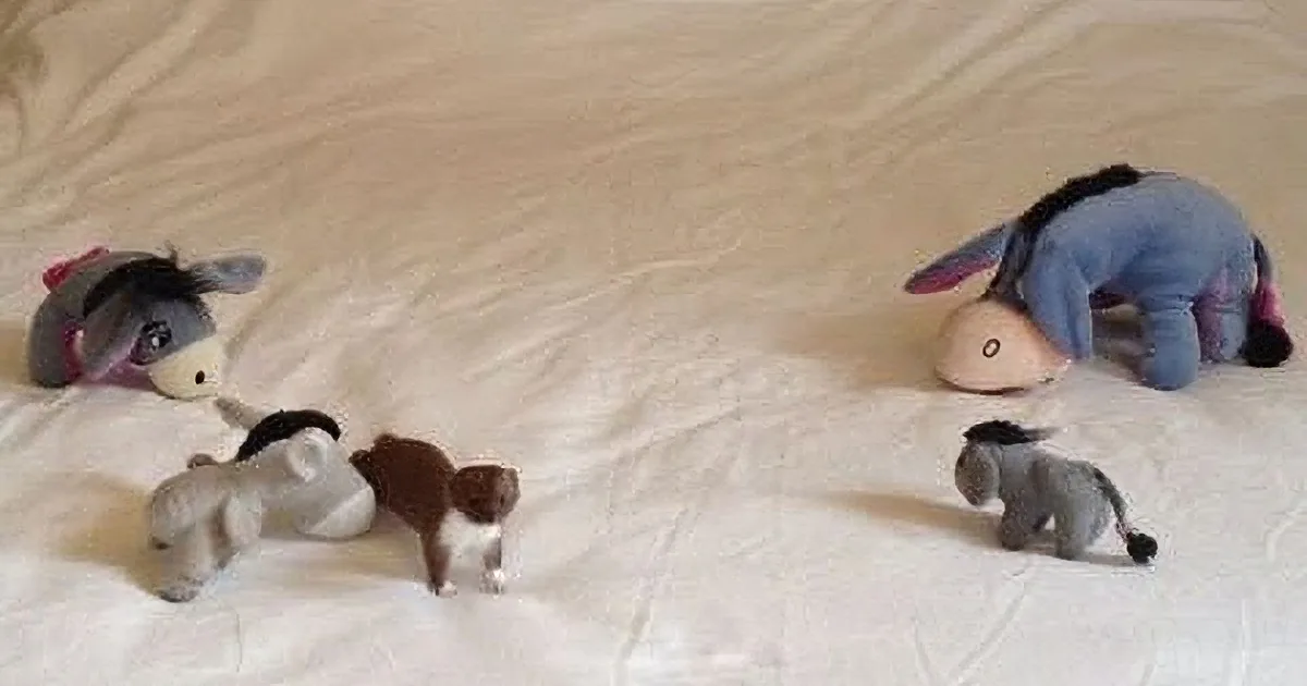 Ozzy the Weasel Adores His Stuffed Animal Like Nothing Else in the World! Aww