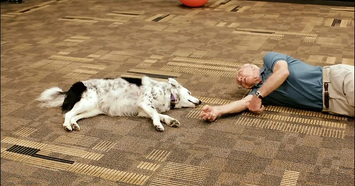 Meet Chaser, the Smartest Dog Alive, With a Vocabulary of Over 1,000 Words!