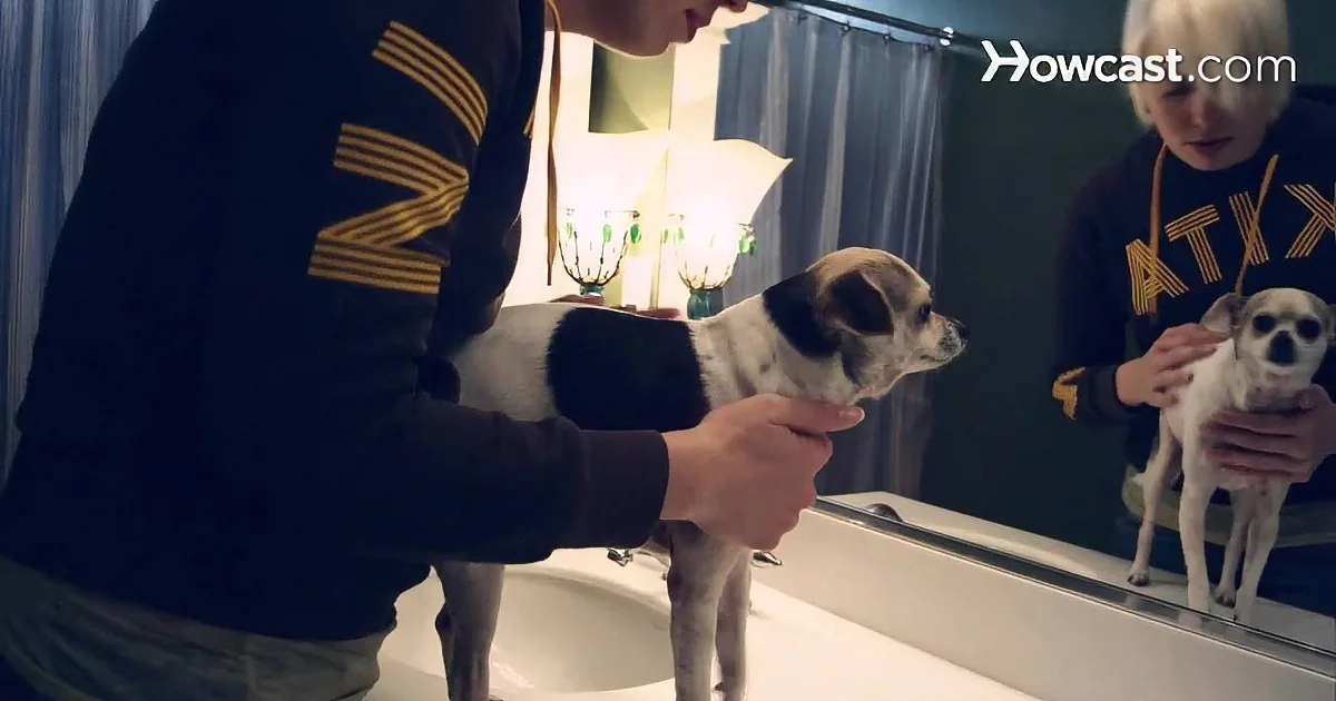 A person holds a small dog on a bathroom counter, with a mirror reflecting the scene.