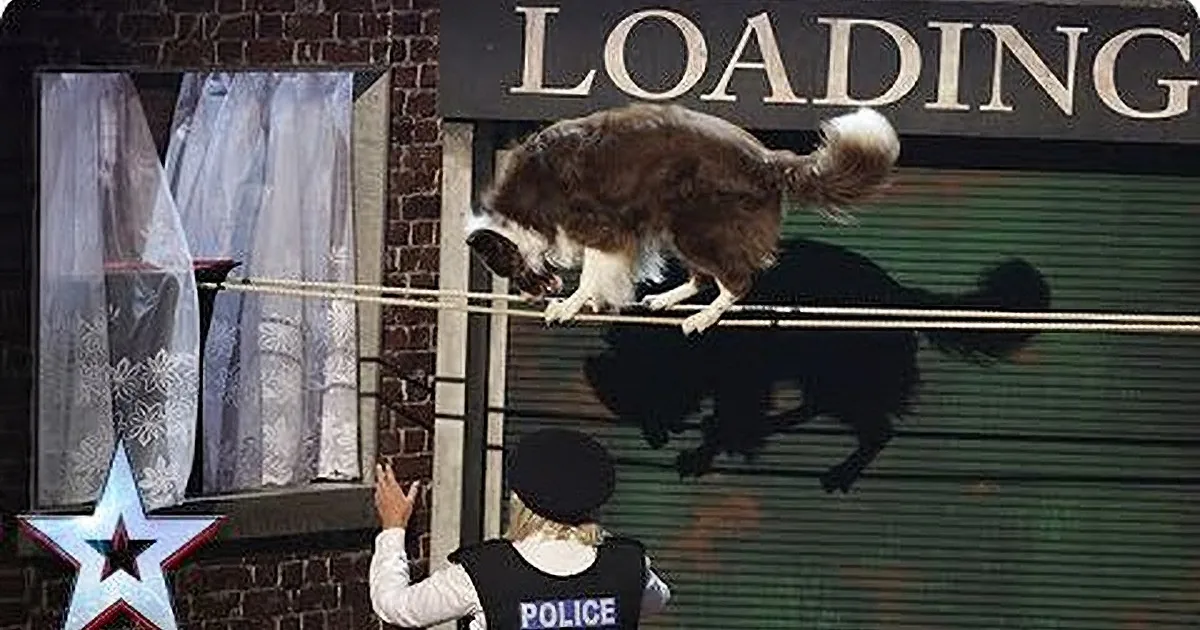 A dog jumps over a pole held by a person in a "Police" uniform, with a "LOADING" sign in the background.