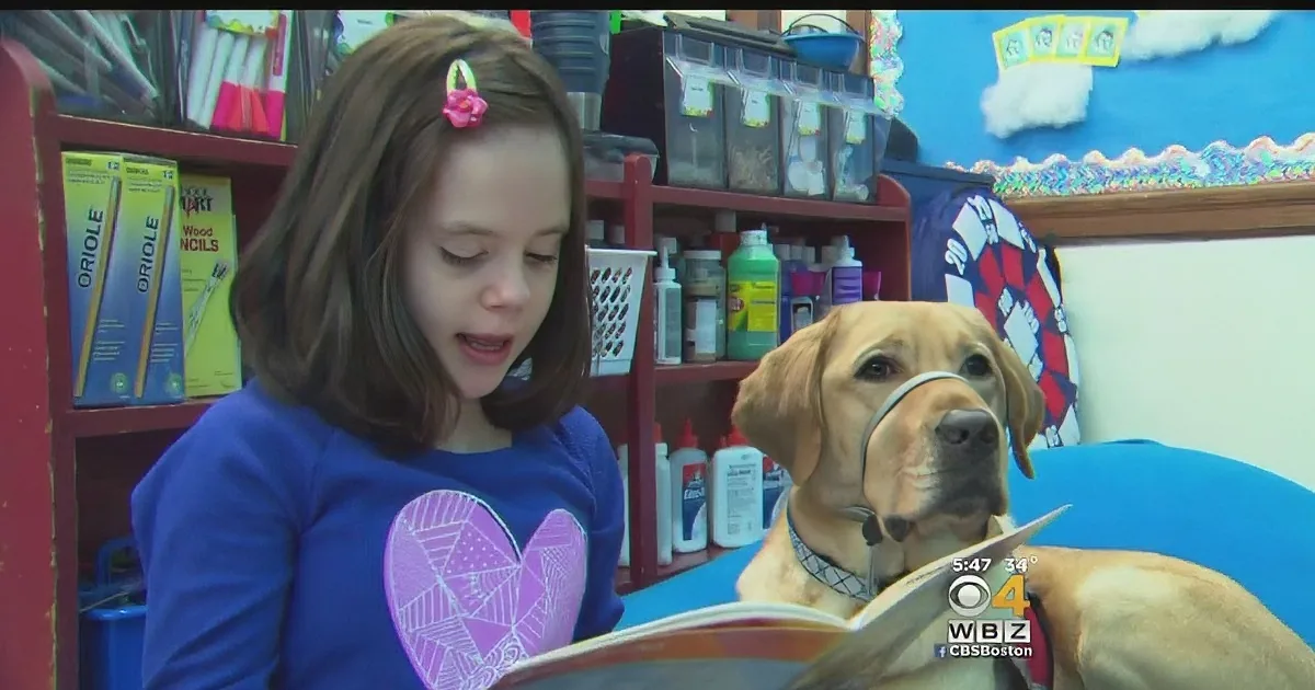 A girl reads a book with a dog sitting beside her in a classroom setting.