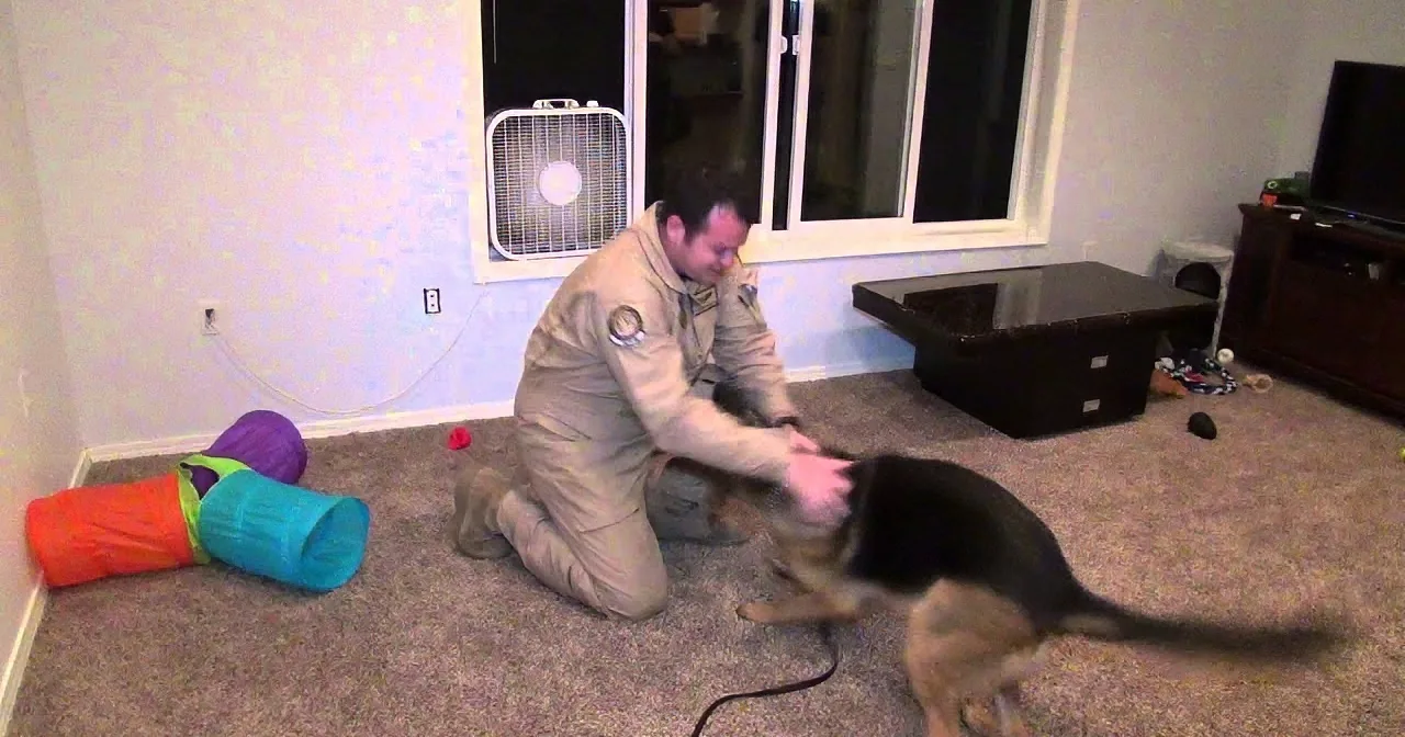 Watch Harley''s Amazing Reaction When His Dad Finally Comes Home! You''ll Definitely Crack a Smile!