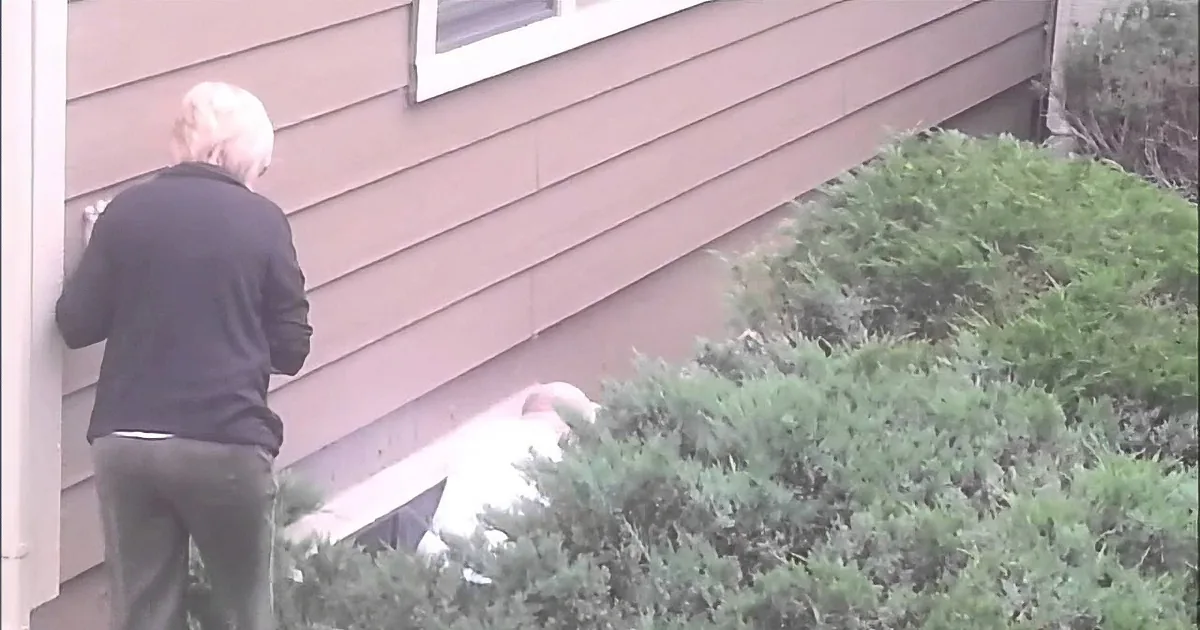 A Man Saves a Little Baby Deer From Being Trapped, but Watch What His Mom Did! OMG