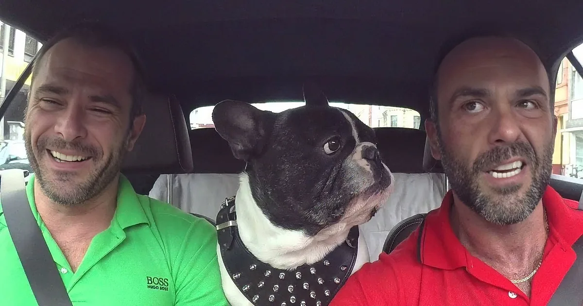 Two men in a car with a dog wearing a studded collar, all smiling.