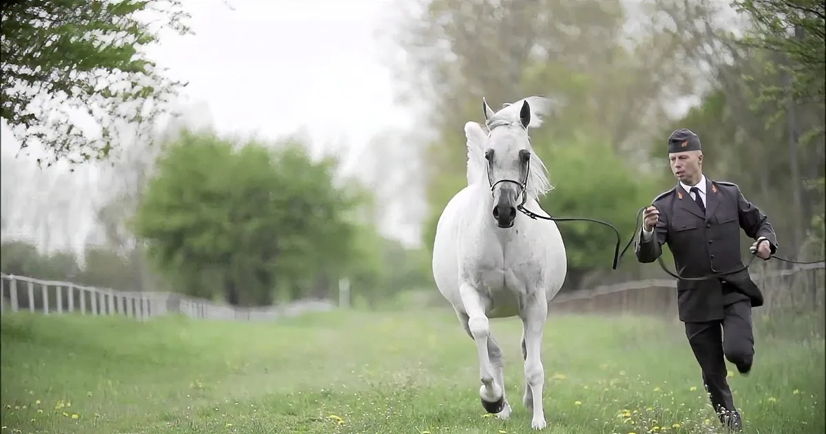 When the Trainer Took the Reins of the Horse I Didn''t Know What Was in a Happened Next!
