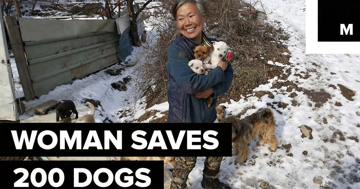 A woman holds three puppies, smiling, with text stating she saved 200 dogs.