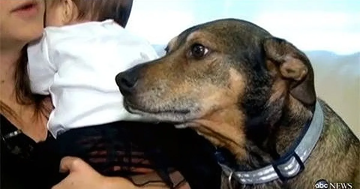 A dog is being held by a person while a baby is being held in the same person's other arm.