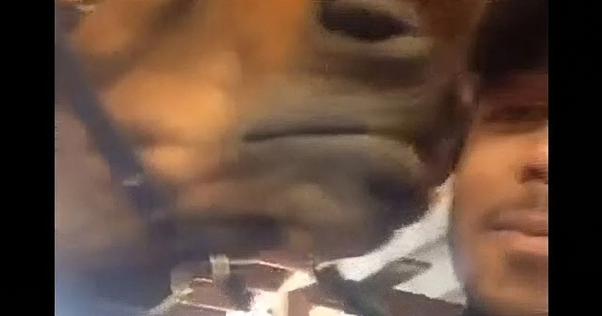 Watch This Horse''s Reaction When He Gets a Kiss on the Cheek!