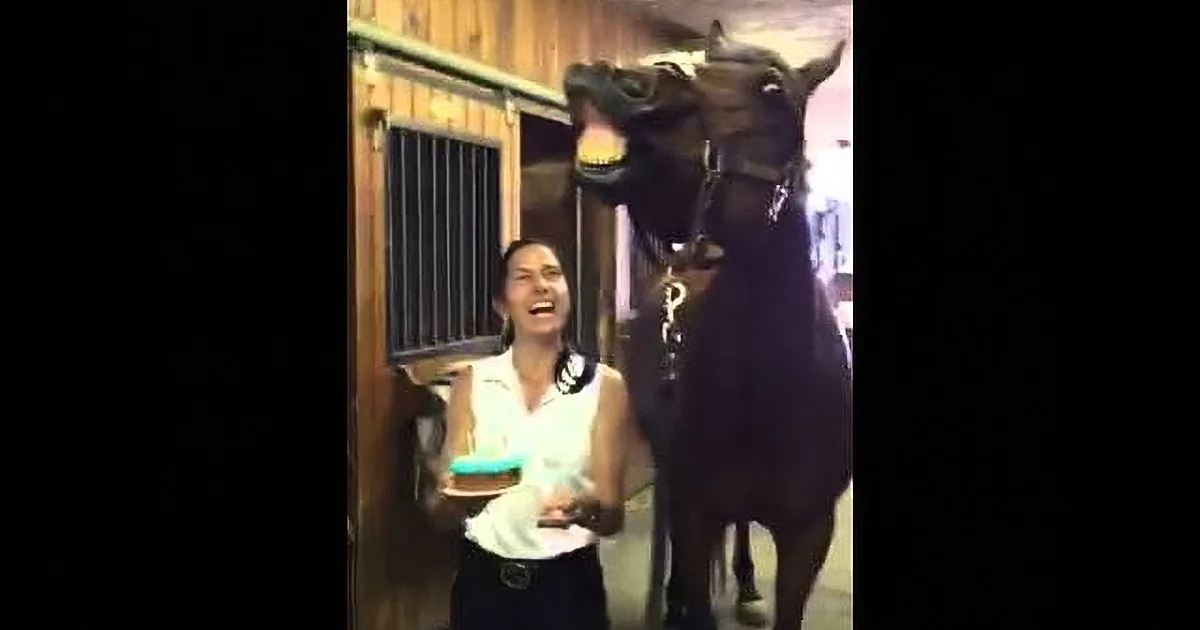 This Adoring Owner Bakes a Cake for Her Horse! You Won''t Believe His Hilarious Reaction!