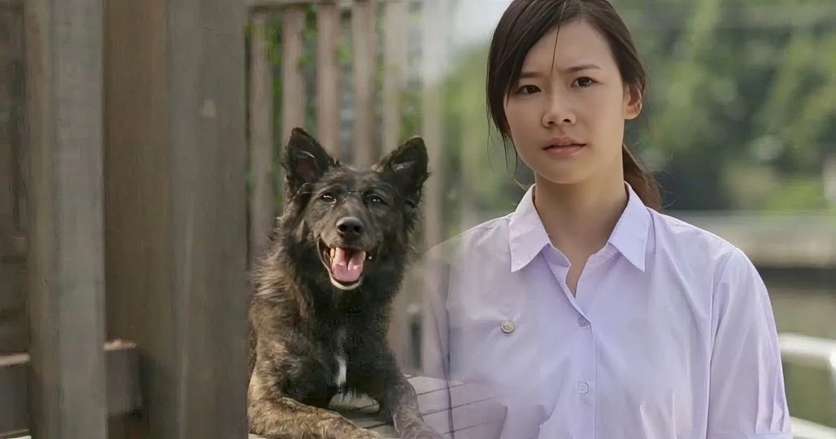 A woman in a white shirt stands next to a dog wearing the same shirt, both looking at the camera.