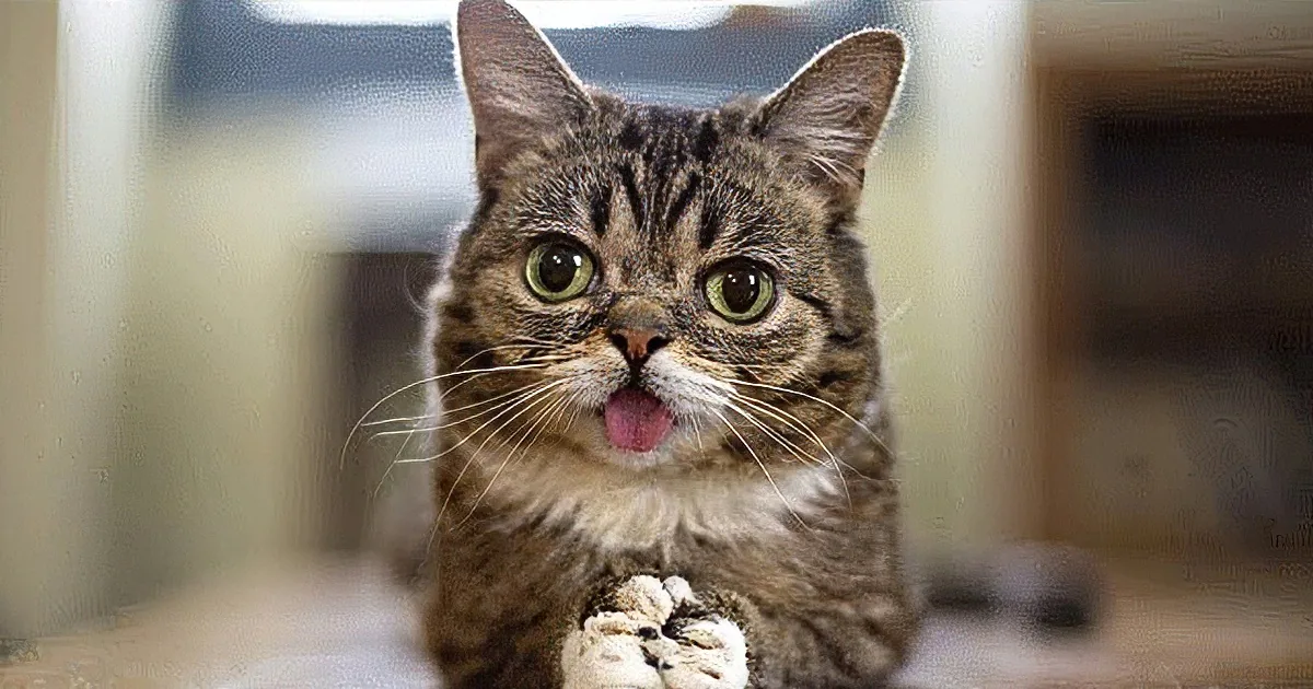 A tabby cat with green eyes and a pink tongue is licking its lips while standing on a wooden floor.