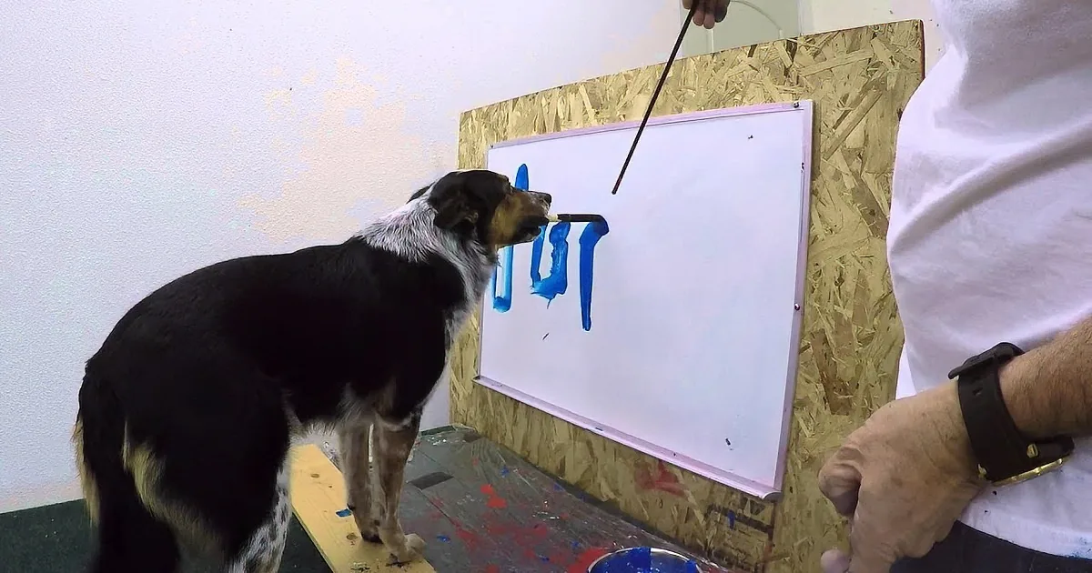 They Gave Him a Brush, and His Dog Did Something Unimaginable! Whoa